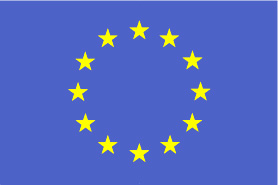 EU Flag - 12 yellow stars on blue background